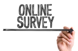 On-line Survey image